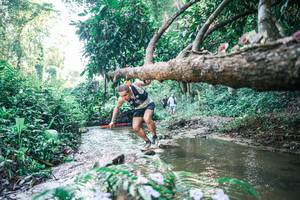 BIB: 
                            <button type="button" onclick="openModal(25432330)" class="btn btn-primary btn-sm float-right btn-popup" data-toggle="modal" data-target=".modal-high-quality">
                        <i class="fas fa-shopping-cart"></i> Add to Cart
                    </button>
                                            <button type="button" onclick="isThisMe(25432330, true)" class="btn btn-success btn-sm float-right btn-popup btn-isme hidden" data-toggle="tooltip" data-placement="bottom" title="นี่คือรูปของคุณใช่ไหม คลิกที่นี่เพื่อเอาเข้าอัลบั้ม">
                        <i class="fas fa-plus"></i> Add to album
                    </button>
                    <button type="button" onclick="isThisMe(25432330, false)" class="btn btn-warning btn-sm float-right btn-popup btn-isnotme hidden">
                        <i class="fas fa-ban"></i> Remove from album
                    </button>